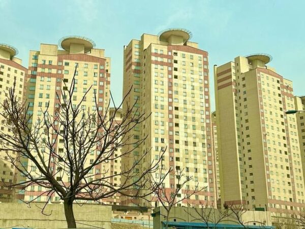 photo_5994529573955552609_y