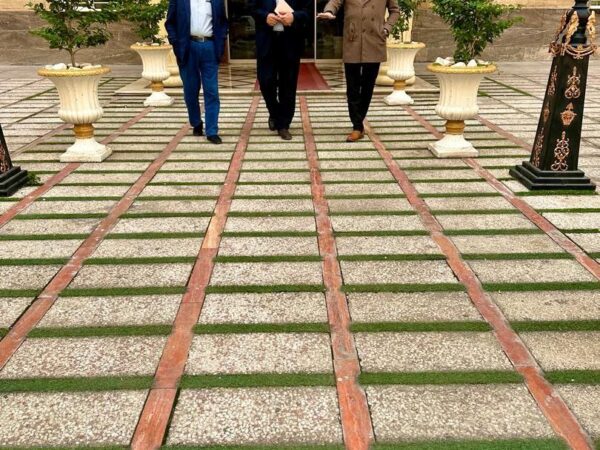 photo_5994529573955552611_y