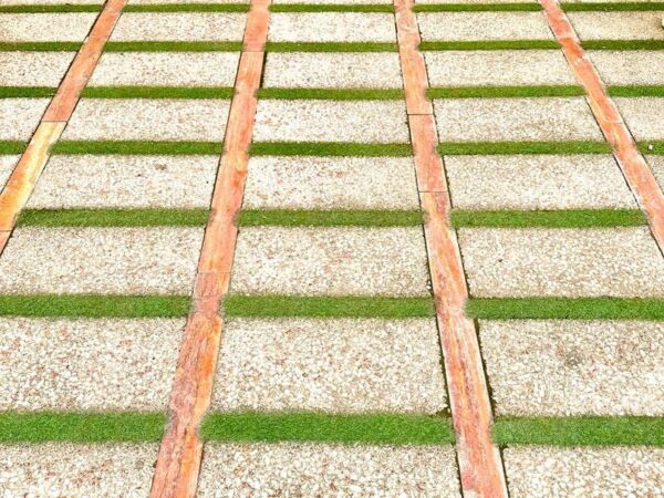 photo_5994529573955552614_y