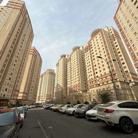 photo_5994529573955552634_y