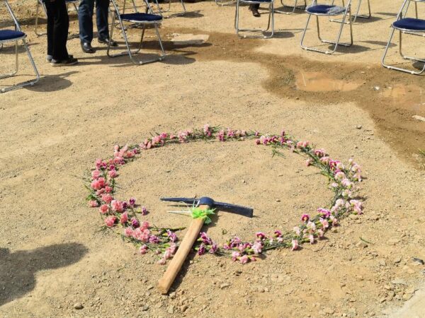 photo_5994529573955552762_y