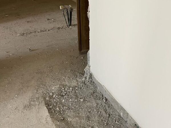 photo_5994529573955552827_y