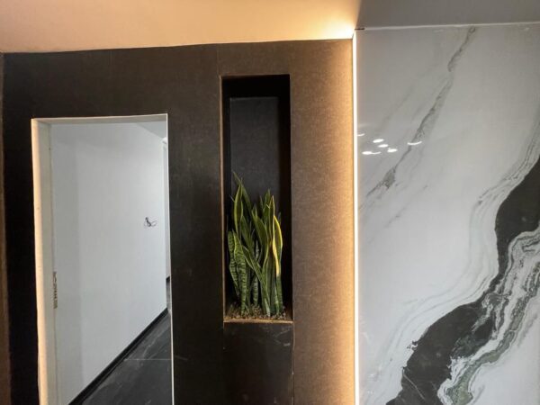 photo_5994529573955552848_y