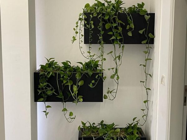 photo_5994529573955552869_y