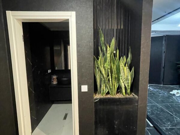 photo_5994529573955552875_y