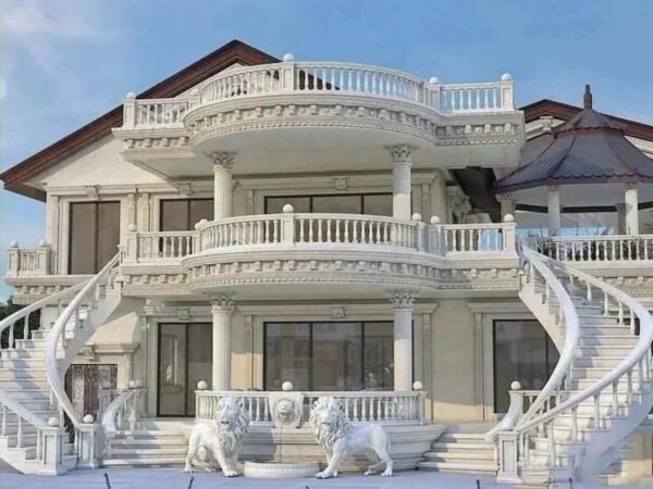 photo_5994529573955552888_y